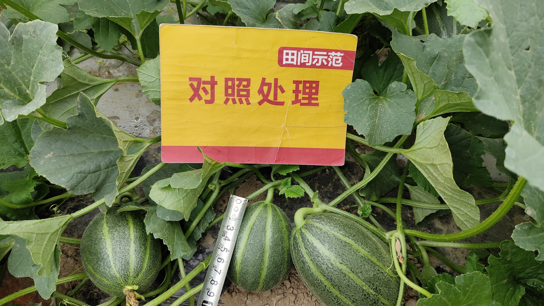 微信圖片_20220502090958.jpg