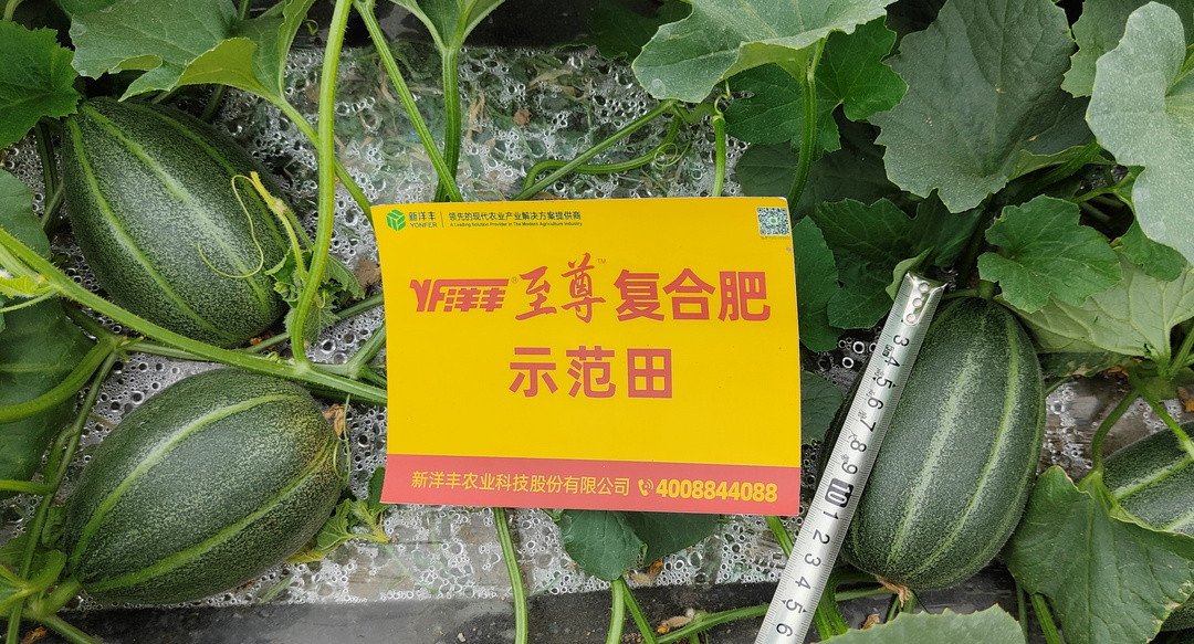 微信圖片_20220502091009.jpg