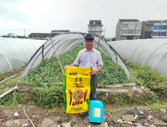 洋豐至尊葡萄、西瓜示范施肥現(xiàn)場照片2.jpg