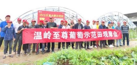 洋豐至尊葡萄觀摩會現(xiàn)場照片.jpg