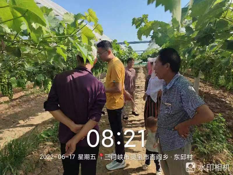 圖片1.jpg