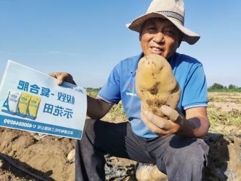 種植戶展示土豆.jpg