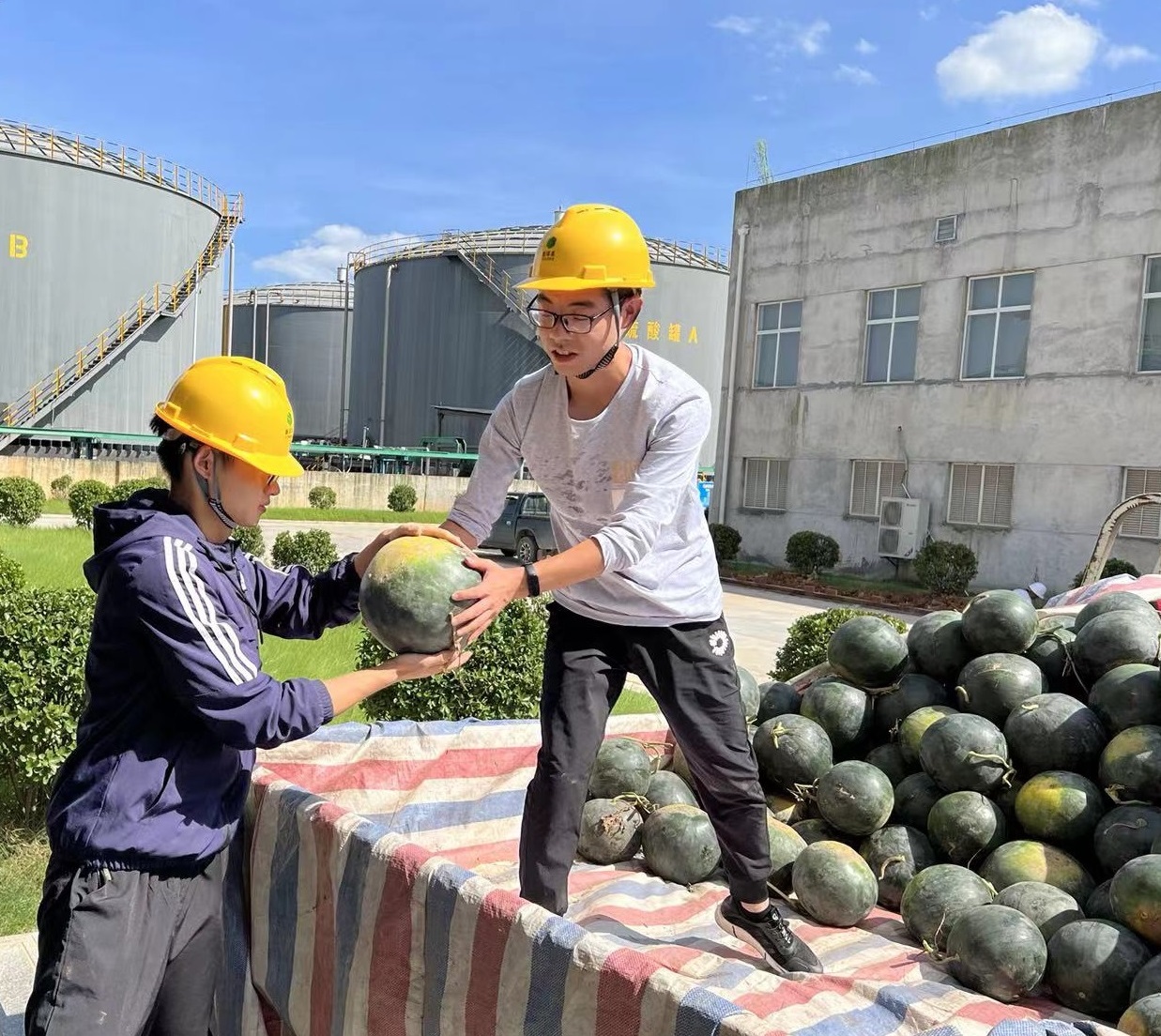 宜昌新洋豐為職工準(zhǔn)備西瓜.jpg