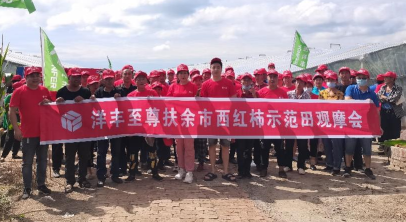 圖6  8月15日洋豐至尊番茄示范田觀摩會合影.jpg