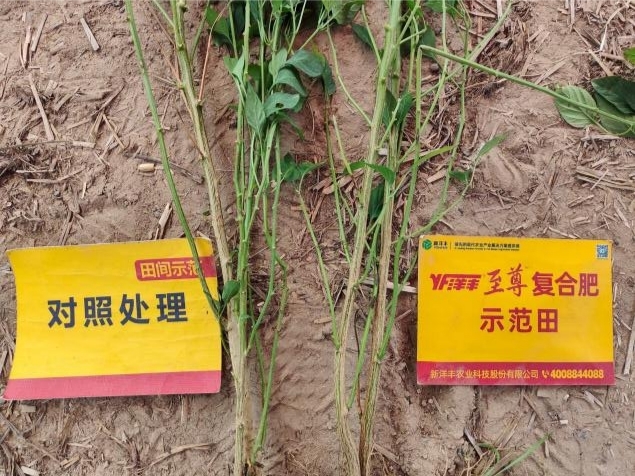 莖稈對(duì)比.jpg