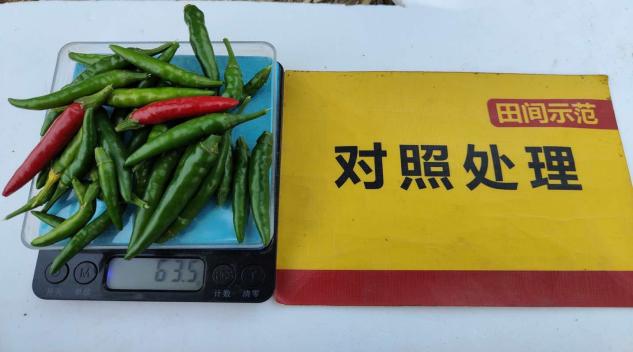 對(duì)照談單株果重.jpg