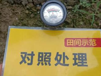 對照田PH.jpg