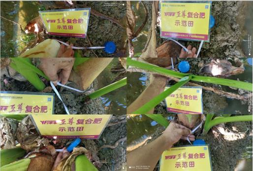 圖片1.jpg