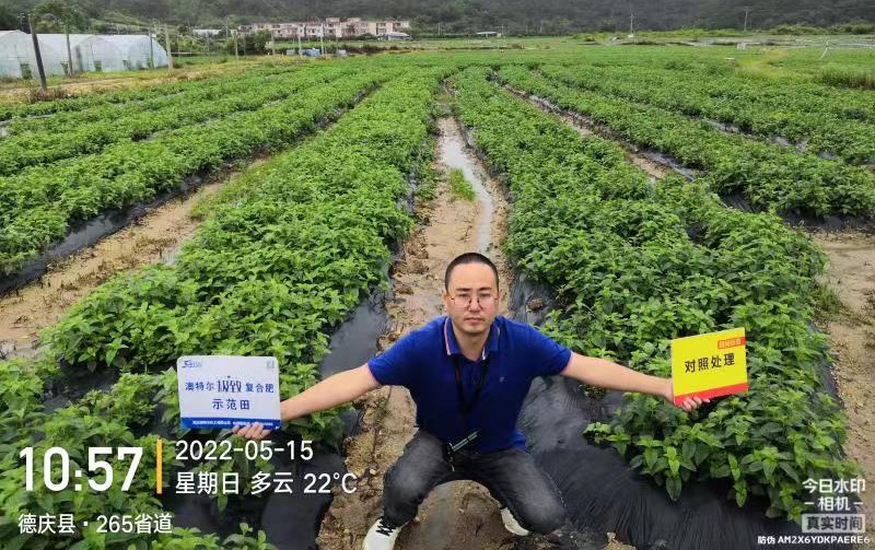 同田對照_副本.jpg