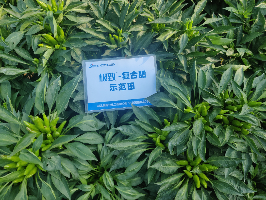 3組 (4).jpg