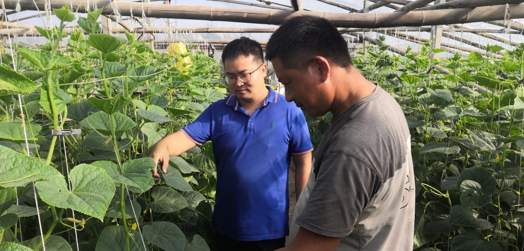 農(nóng)藝師定期回訪種植戶.jpg