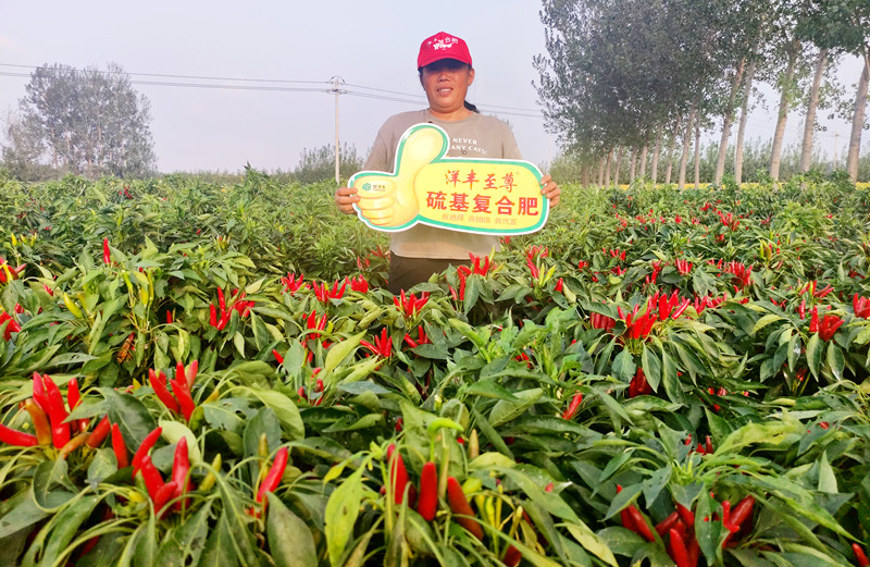 種植戶：田美霞_副本.jpg