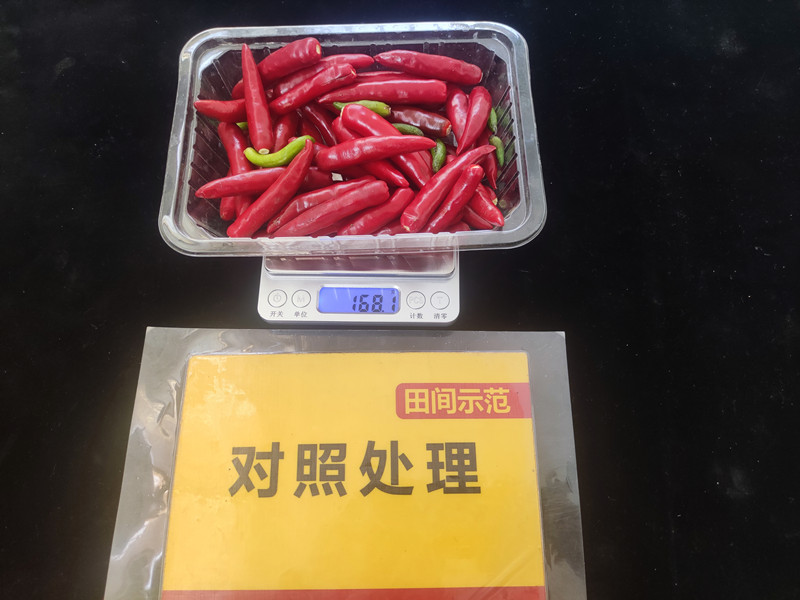 9月26日對照整株鮮果重：168.1g，畝產(chǎn)336kg_副本.jpg